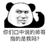 暴漫 熊猫头 你们口中说的帅哥指的是我吗 搞怪 逗