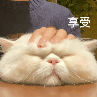 萌宠 猫咪 享受 呆萌 可爱