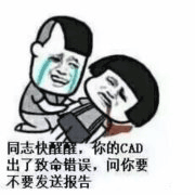 专业表情包