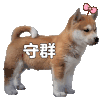 站岗小狗 狗狗 沙雕 搞笑 逗