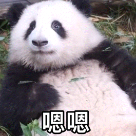 萌宠 熊猫 你憋说啦 呆萌 可爱