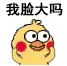 小黄鸡 沙雕 搞笑 崽崽 逗