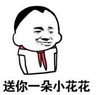 暴漫 文字表情包 送你一朵小花花 搞笑 逗 沙雕