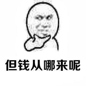 专家指出但钱从哪里来呢gif动图_动态图_表情包下载_soogif