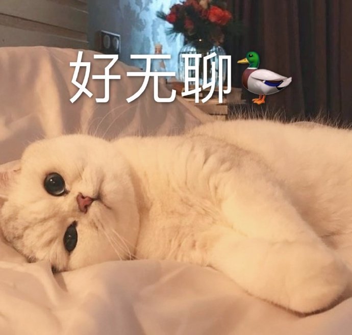 萌宠gif猫星人gif好无聊gif困了gif呆萌gif可爱gif