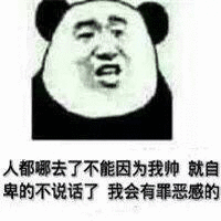 暴漫 熊猫头 沙雕 搞怪