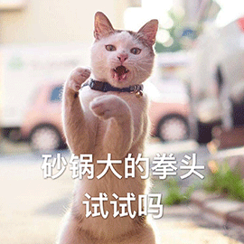 猫猫飞拳表情包制作图片