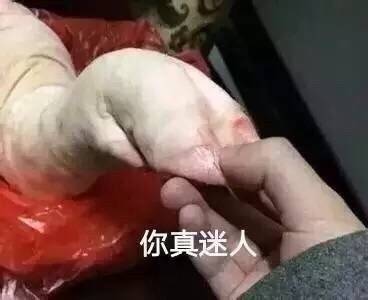 表情包猪蹄 可爱图片