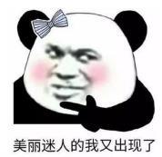 暴漫 文字表情包 美丽迷人的我又出现了 搞笑 逗 沙雕