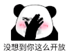 暴漫 熊猫头 开放 搞怪 逗