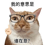 萌寵 貓咪 我的意思是誰(shuí)在意 呆萌 可愛(ài)