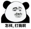 暴漫 熊猫头 怎样打我啊 搞笑 逗 沙雕