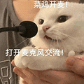 萌宠 猫咪 打开麦克风交流菜鸡开麦 呆萌 可爱