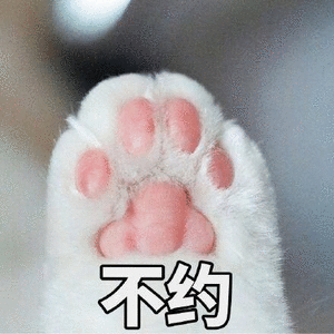 微信猫爪表情符号图片