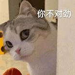 萌宠 猫咪 你不对劲 呆萌 可爱