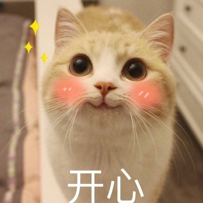 猫咪 开心 脸红 大眼睛