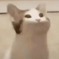 popo猫 大嘴猫咪 可爱 沙雕 搞笑