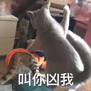 萌宠
