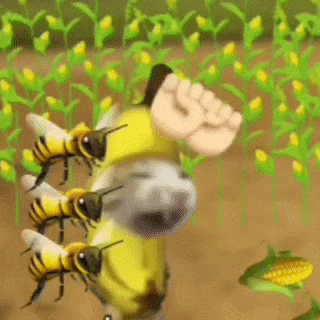 香蕉猫 meme 可爱 搞怪