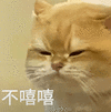 萌宠 猫咪 不嘻嘻 呆萌 可爱