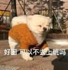 萌宠 猫星人 好困 可以不去上班吗 搞怪 呆萌