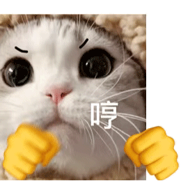 萌宠 猫咪 哼 呆萌 可爱