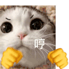 萌宠 猫咪 哼 呆萌 可爱