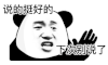 暴漫 熊猫头 说的挺好的 下次别说了 搞怪 逗