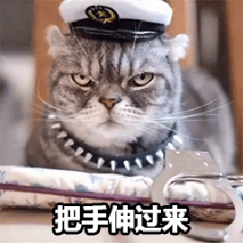 警察猫指人表情包素材图片