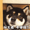 玩王者 沙雕 搞笑 逗