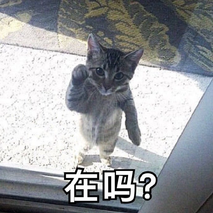 打招呼的表情包猫猫图片