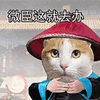 萌宠 猫咪 微臣这就去办 呆萌 可爱