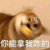 萌宠 狗狗 你能拿我咋的 呆萌 可爱