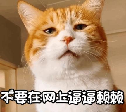 闭嘴是什么动物(闭嘴是什么动物生肖)