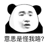 暴漫 熊猫头 意思是怪我咯 搞怪 逗