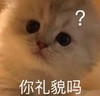 萌宠 猫星人 你礼貌吗 生气 搞怪 呆萌