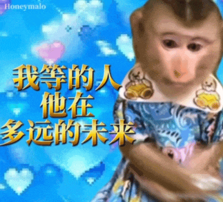 搞笑 抽象 沙雕 猴子