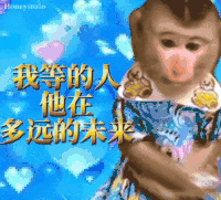 搞笑 抽象 沙雕 猴子