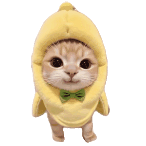 猫咪 可爱 搞怪 沙雕