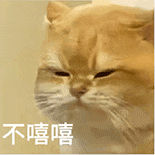 萌宠 猫咪 不嘻嘻 呆萌 可爱