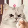 猫咪 指人 头顶鲜花 沙雕 搞笑 逗