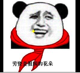 金馆长