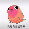 魔性 摇头小鸟 沙雕 搞笑 逗
