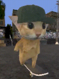 阿米嘎蒂朵 猫咪 喵喵 可爱 搞怪