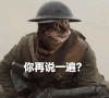 萌宠 猫咪 你再说一遍 呆萌 可爱