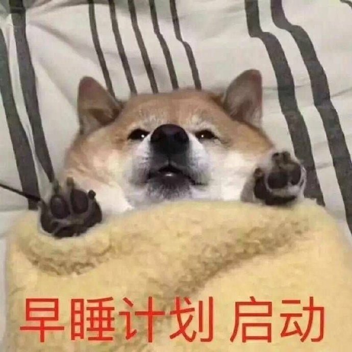 萌宠gif猫星人gif早睡计划gif启动gif呆萌gif可爱gif