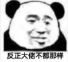 暴漫 熊猫头 反正大佬不都那样 搞笑 逗 沙雕
