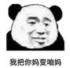 暴漫 熊猫头 我把你妈变咱妈 搞笑 逗 沙雕