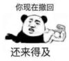 暴漫 熊猫头 你现在撤回还来得及 搞笑 逗 沙雕