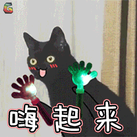 萌宠猫咪开心嗨起来soogifsoogif出品gif动图